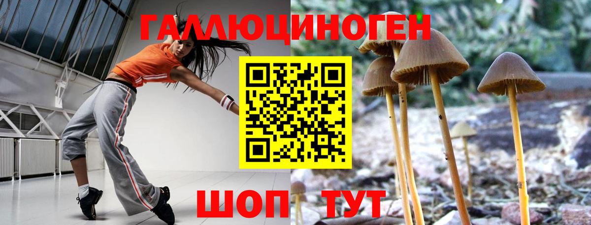 Галлюциногенные грибы GOLDEN TEACHER  Вход с VPN  цены   Тобольск 